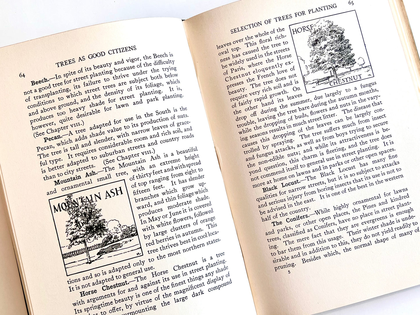 Trees as Good Citizens by Charles Lathrop Pack, 1923