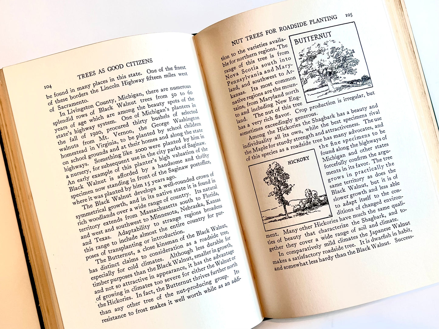Trees as Good Citizens by Charles Lathrop Pack, 1923