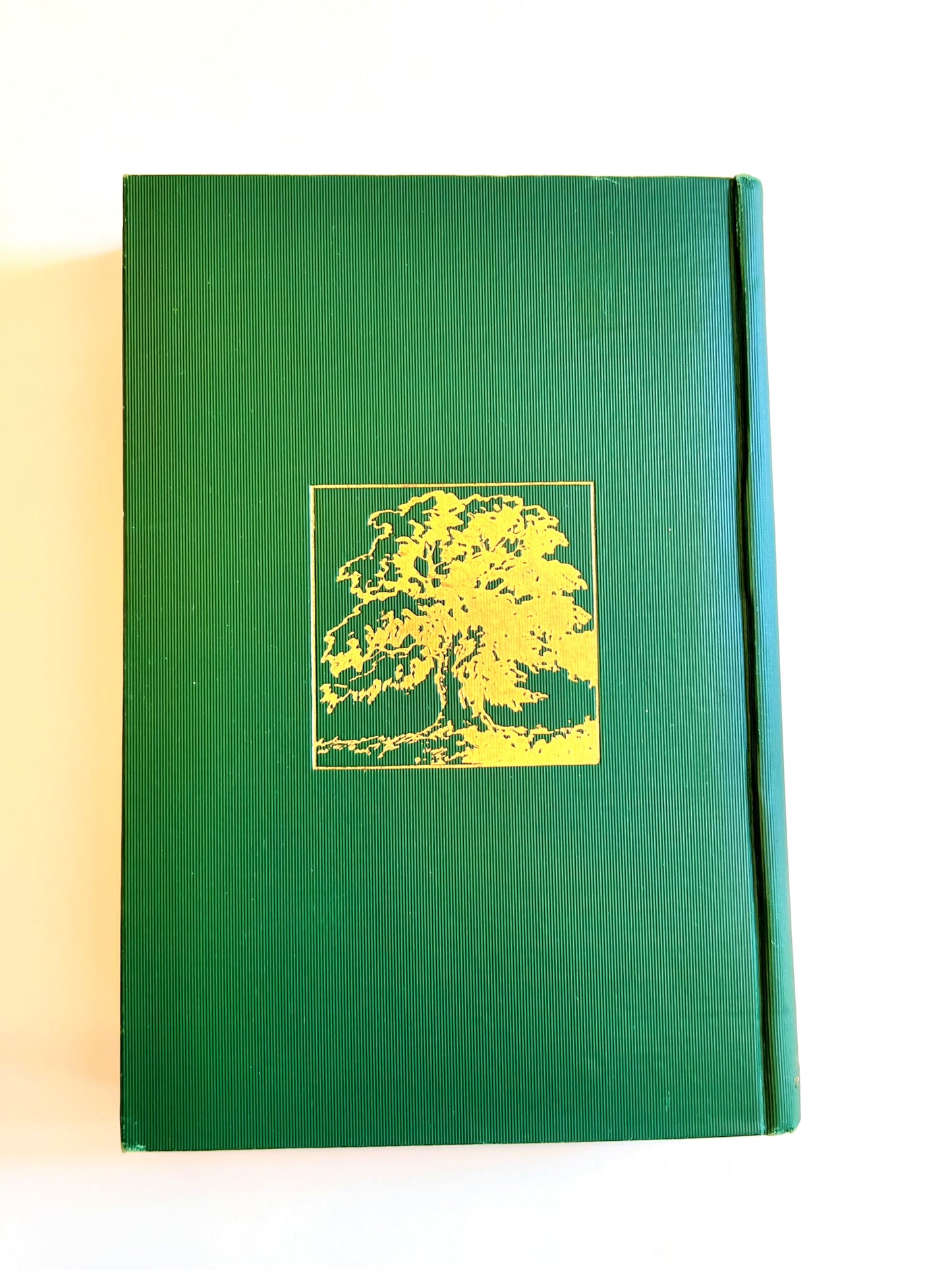 Trees as Good Citizens by Charles Lathrop Pack, 1923