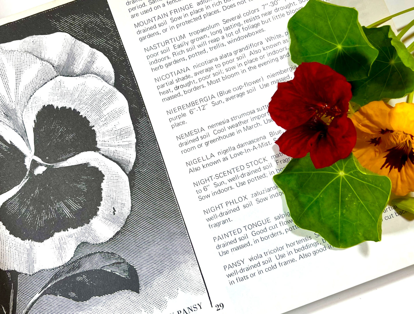 The Guide to Buying Plants from The Gardener's Catalogue Series, Tom Riker, 1976