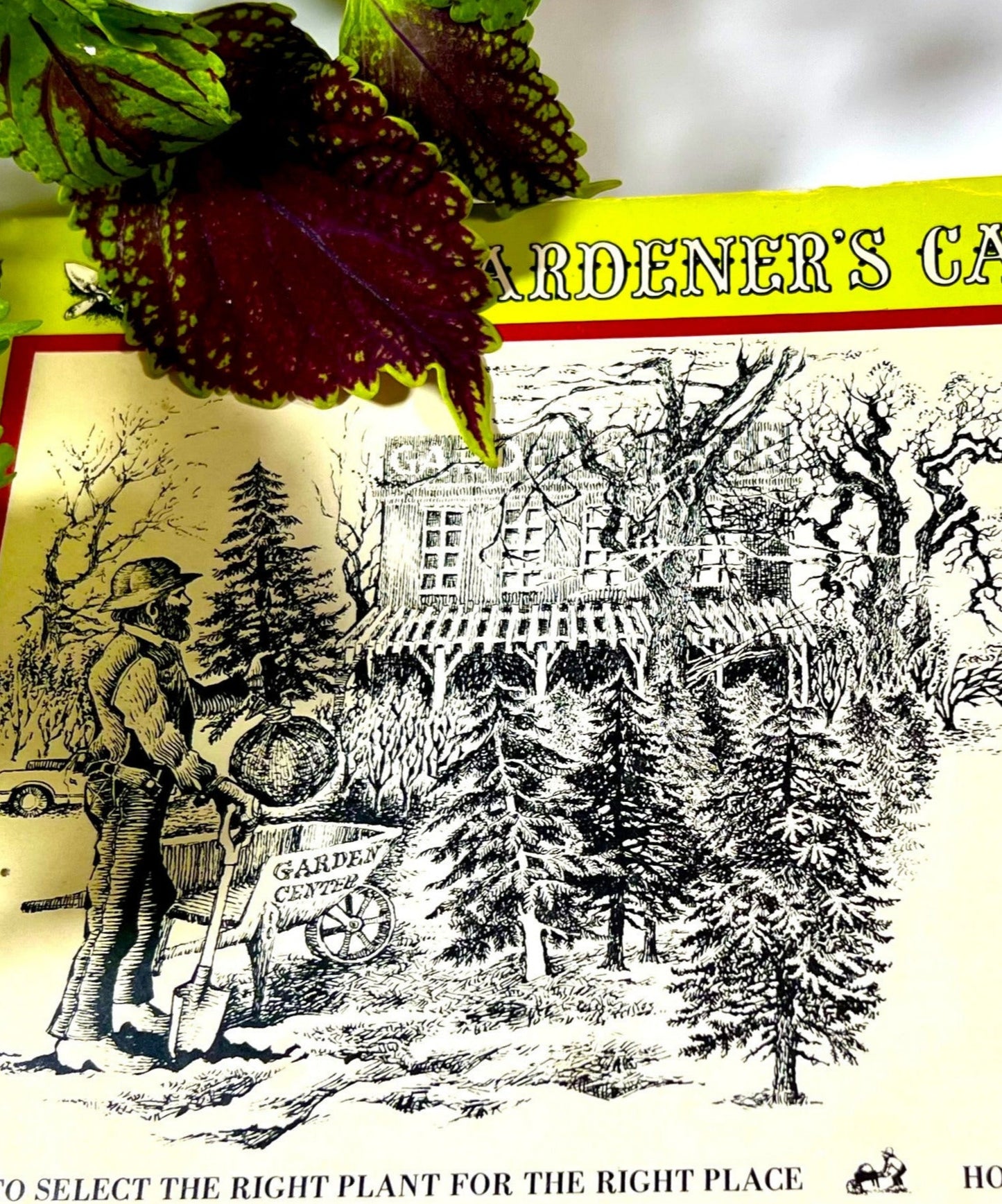 The Guide to Buying Plants from The Gardener's Catalogue Series, Tom Riker, 1976