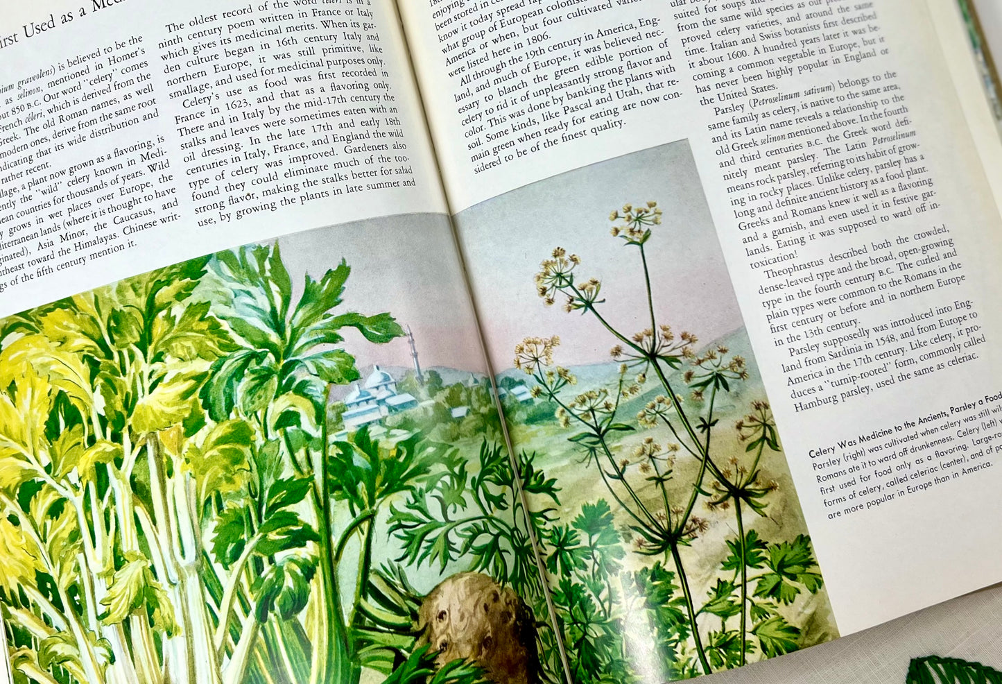 The World in Your Garden, National Geographic Society, 1957