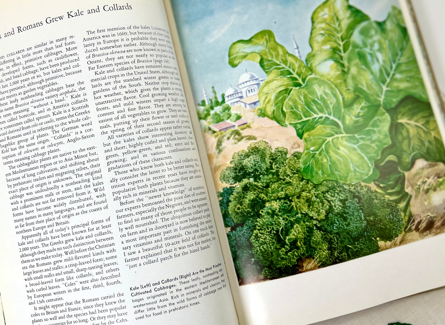 The World in Your Garden, National Geographic Society, 1957