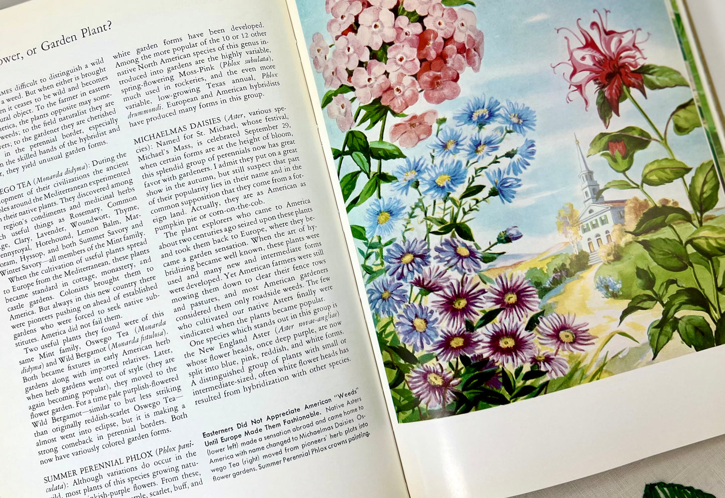 The World in Your Garden, National Geographic Society, 1957