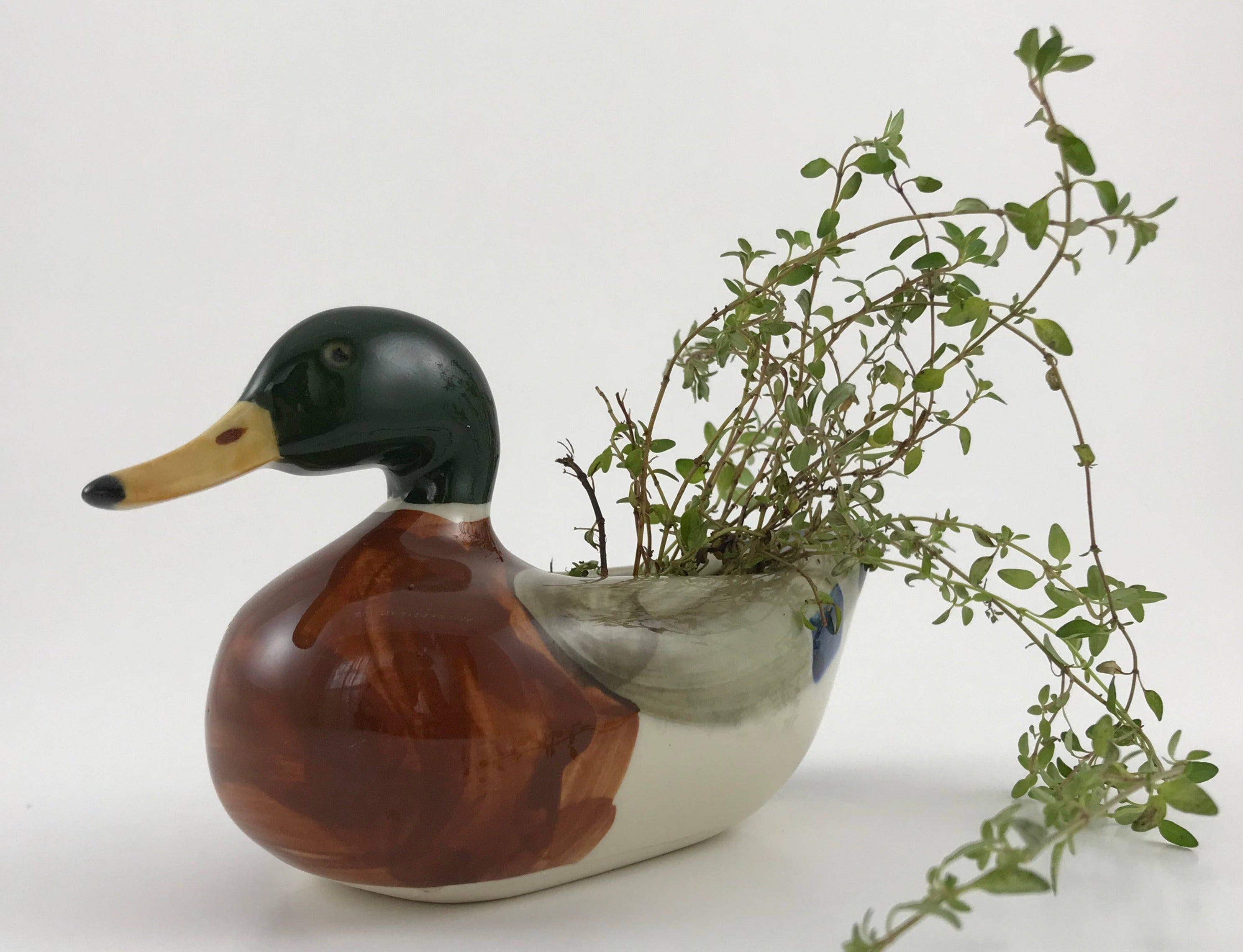 duck planter pot Goss Mallard Duck Planter, Hand-painted Glazed Porcelain, Mid-century – The Vintage Kitchen & Garden