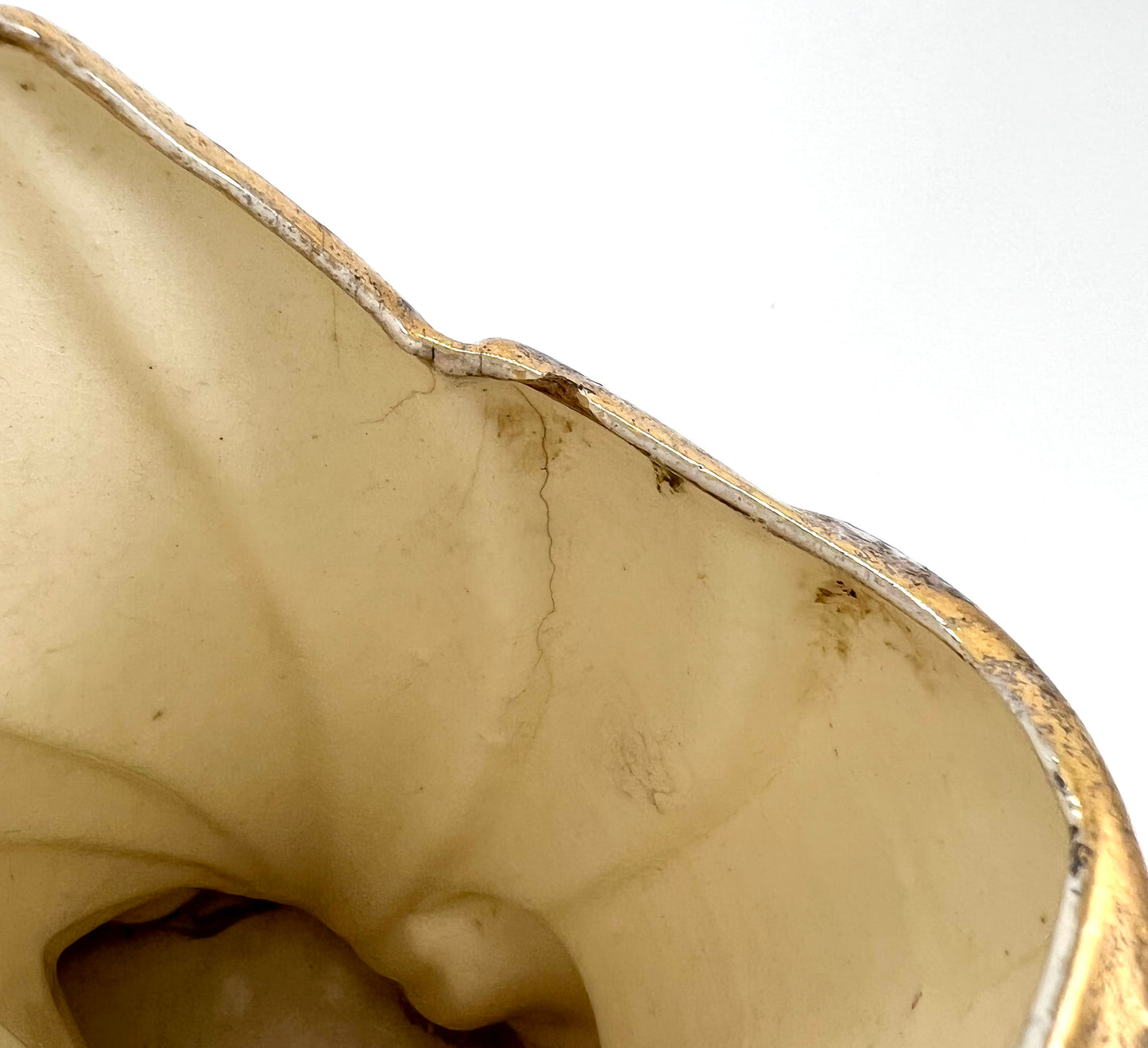 Mid-century Ceramic Vase, Black and White with Gold Accents