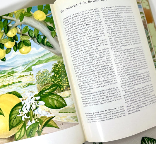 The World in Your Garden, National Geographic Society, 1957