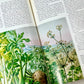 The World in Your Garden, National Geographic Society, 1957