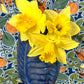 Stangl Terra Rose Standing Leaf Vase, Mid-century